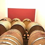 مزرعة للإقامة La Canonica San Giovanni dʼAsso